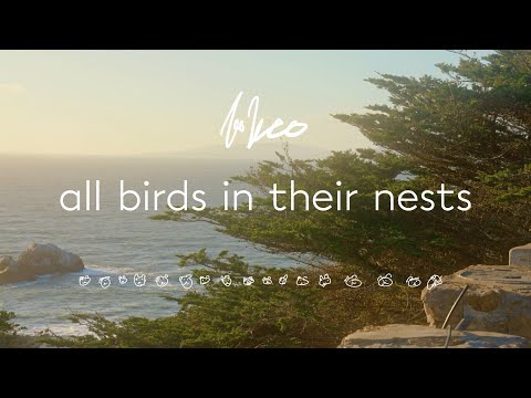 Video thumbnail for ​​​all birds in their nests