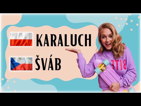 💥 20 śmiesznych słówek po 𝗖𝗭𝗘𝗦𝗞𝗨 🤣 Śmieszne czeskie słówka na poprawę humoru 😂 Śmieszny czeski