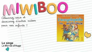 Le singe : l'encyclopédie des animaux