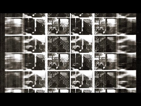 Disappear - Senophia
