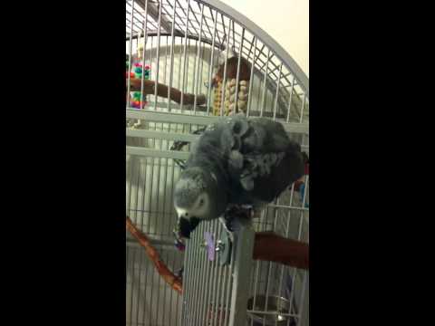 download lagu mp3 mp4 Power Mister, download lagu Power Mister gratis, unduh video klip Power Mister