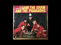 Sam The Sham And The Pharaohs Wooly Bully Revised