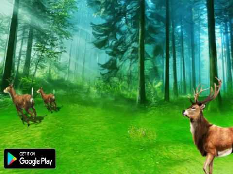 Amazing Jungle Animal Deer Hunting 2018 Video