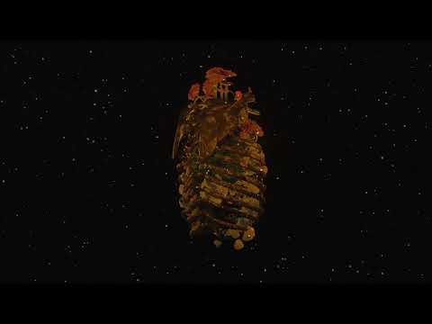 Lil Salmonela x Lil Mamat  - Lu Cantik Tapi Tukang Ghosting