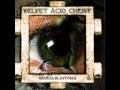 Velvet Acid Christ - The Hopeless 
