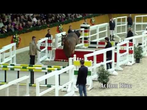 Action Blue deutsch 2015