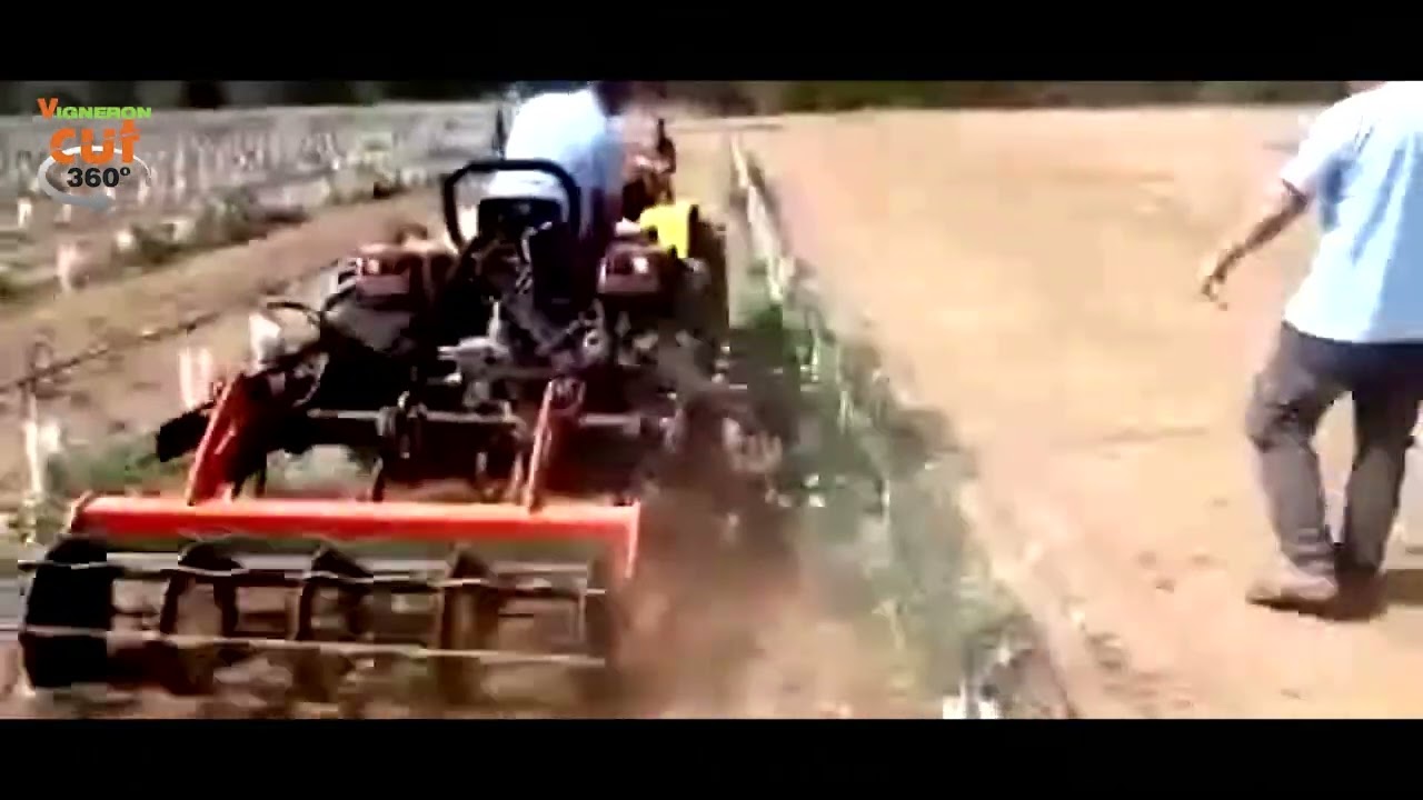 Extendable cultivator with inter-row Zeppelin