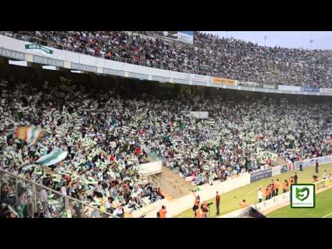 ElcheDirecto.com - Reportaje de la afición en el Elche CF 1-1  FC Barcelona B