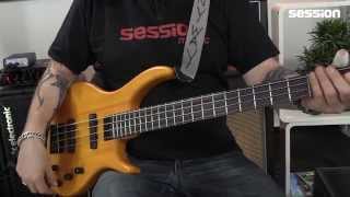 Video thumbnail for EPIPHONE Toby Deluxe-IV Bass TA by session