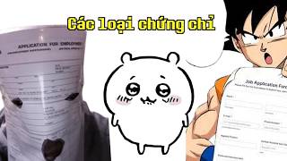 Tất cả các loại chứng chỉ trong Chiikawa!