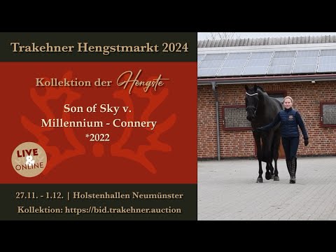 20 - Son of Sky - Hengst - v. Millennium - Connery *2022