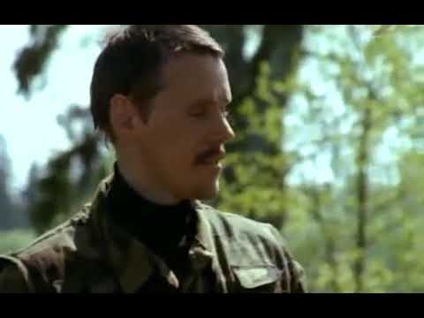 V.O.I.T.K.A Metsavennad