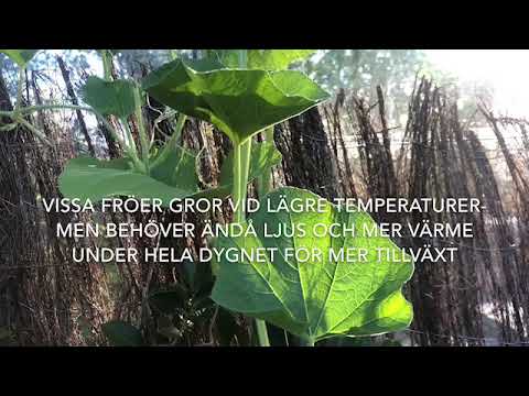 Vinterodla Året Om? Generella råd för vårt avlånga land