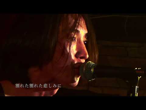 TOKYO ACCIDENTS “魔女 Witch” live (lyric video)