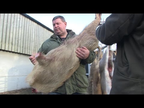 How to butcher a boar with George Digweed