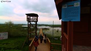 preview picture of video 'Efteni Gölü'