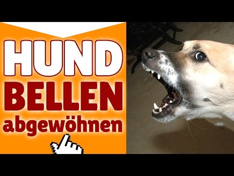 Wie ich selbst Prostata-Massage tun Die Armee mit chronischer Prostatitis