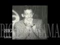 BIG LEG MAMA - Little Walter