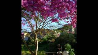 Vanessa da Mata - Onde Ir.wmv