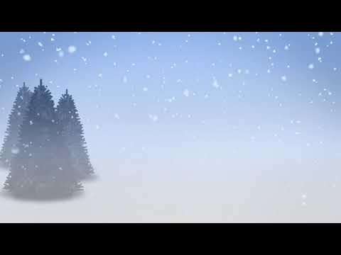 [3 Hours] Snowfall on Christmas Trees in the Woods - Video & Audio [1080HD] - Chasing Zen