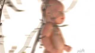 Odd Nosdam - Kill Tone