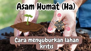 Download lagu Mengenal Asam Humat: Rahasia Tanah Subur dan Panen Melimpah! mp3