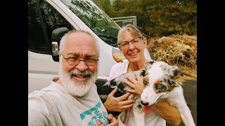 Dodge Promaster 118wb Van Camper Build - Intro - Video #1 - Vanlife Maybe Not but Camper Yes Yes YES