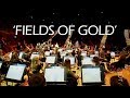 #fieldsofgold #symphonic #djamelotouil #lynnhilary FIELDS OF GOLD PHILHARMONIC ORCHESTRA