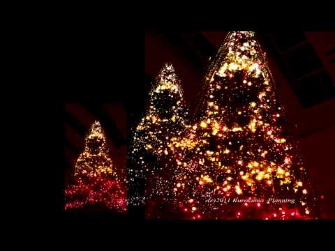 Queen's Square YOKOHAMA　Singing Tree 2011