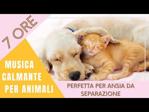 7 ORE MUSICA RILASSANTE CANI GATTI | ANSIA DA SEPARAZIONE | DORMIRE | RELAX