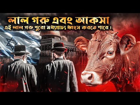 ২০২৪ সালে কি সত্যিই আল-আকসা মসজিদ ধ্বংস করা হবে?