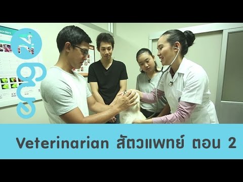 เชื้อโรคหญิงในคิรอฟ บนหนังหุ้มปลายลึงค์เป็นสมาชิกของแผลเล็ก ๆ
