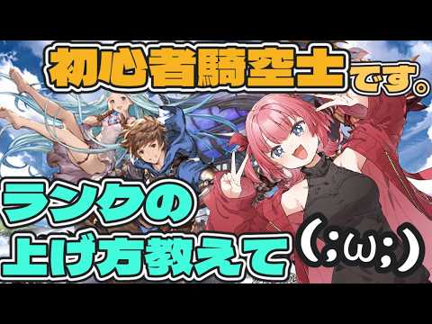 【初見OK】グランブルーファンタジー、むずかしすぎる