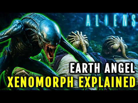 Earth Angel Xenomorph Explored – Alien Born from a Lost Extraterrestrial Ship Crash Landed on Earth