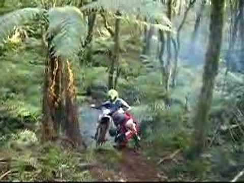 TRILHA PO E LAMA TRILHEIROS