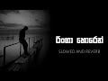Ringa Horen රිංගා හොරෙන් Nada Nuba Nada Mage Lagta Veyan Sinhala Songs Slowed 