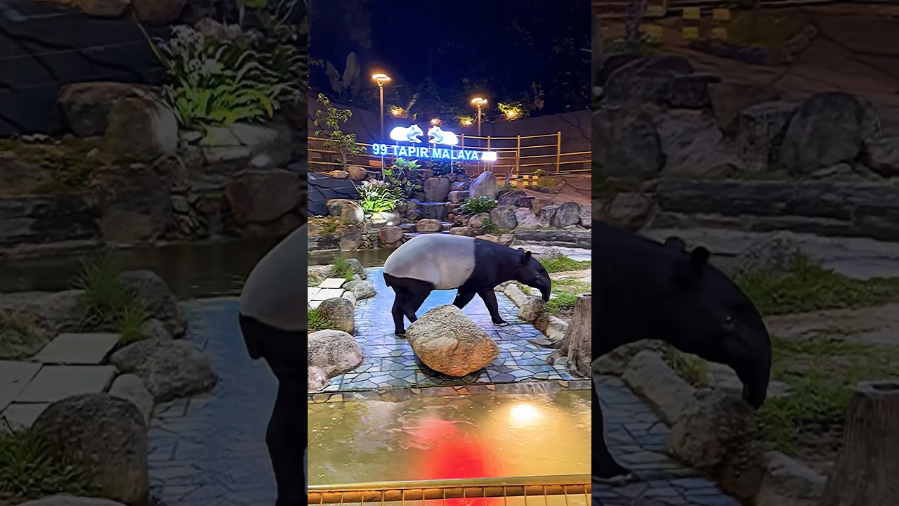 YouTube Short thumbnail