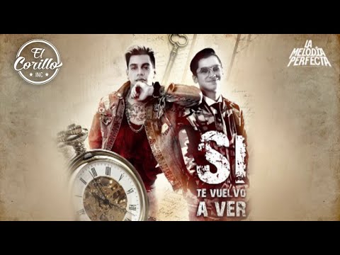 Video Si Te Vuelvo A Ver (Audio) de La Melodía Perfecta