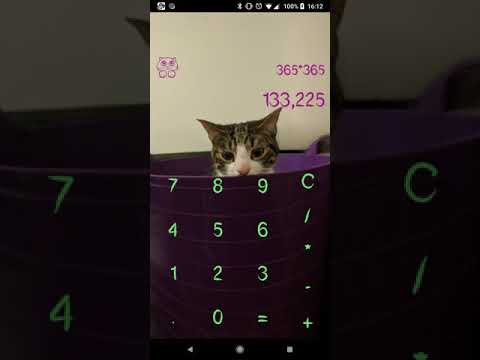 Cat Calculator Video