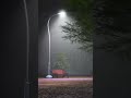 Rain Beautiful Scene Rain Video Status Barish Status Rain WhatsApp Status Night Rain Scene