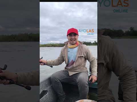 Historias del rio Paraná