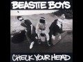 Beastie Boys - Dub the Mic