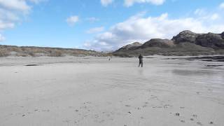 Ashdale Dog Training, Ayrshire - Break off and Recall on Sanna Beach