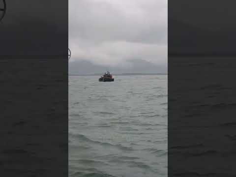 ⚓ Tragédia evitada no mar: pescadores resgatam colegas após barco quase afundar em Cananeia SP.