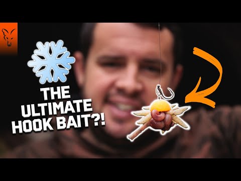 Ignoring This Will Cost You Fish! Winter Carp Fishing Edge | Tom Maker | Carp Rig | Fishing Tips