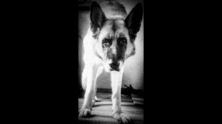 Music video thumbnail preview for 20201223 Rauhnacht by Sturmpercht