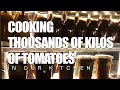 We Cooked Thousands of Kilos of Tomatoes In Our Kitchen | Hey Jehan