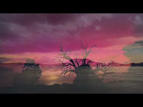 Lajtorja - Szívdobbanás