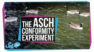 How Far Will People Go to Fit In?