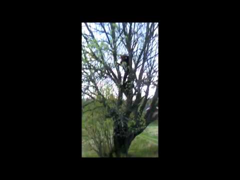 Magnum Trailer 2013 (preview)